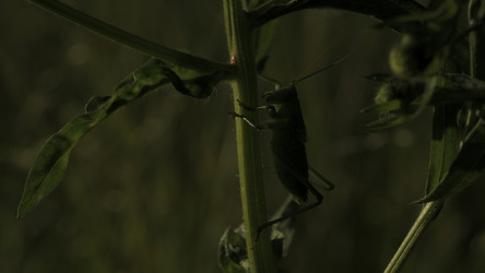 Similar image 22401004