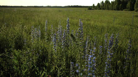 Similar image 22401049