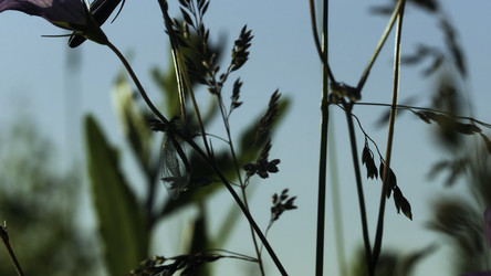 Similar image 22402491