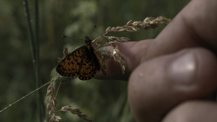 Similar image 22402509