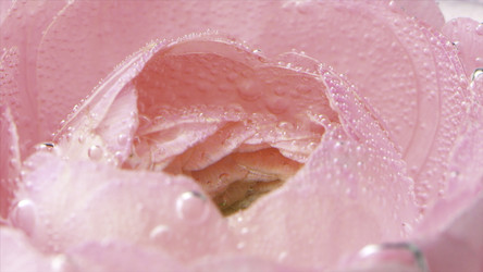 Similar image 22405630