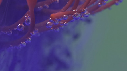 Similar image 22405661