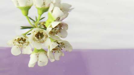 Similar image 22405675