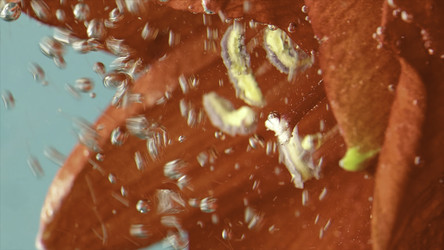 Similar image 22405751