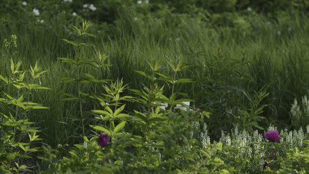 Similar image 22405885