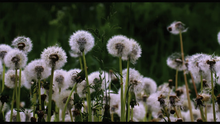 Similar image 22406033