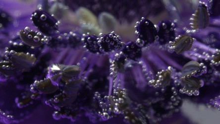 Similar image 22406091