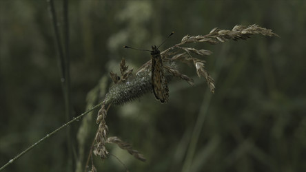 Similar image 22406437