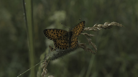 Similar image 22406487