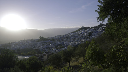 Similar image 22406543