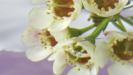 Similar image 22406876