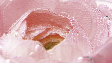 Similar image 22407131