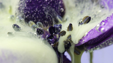 Similar image 22407473