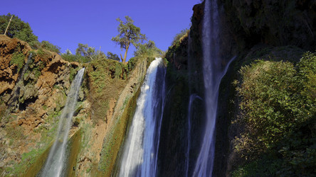 Similar image 22407489