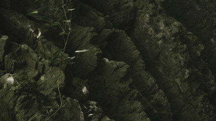 Similar image 22407536