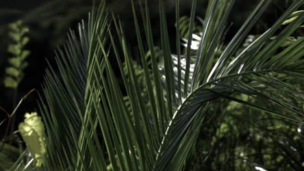 Similar image 22407651