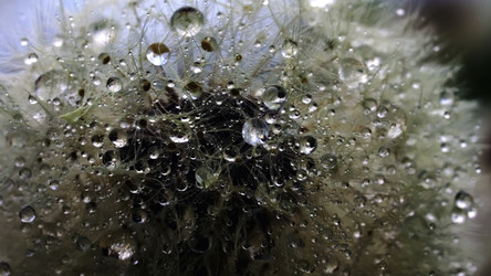 Similar image 22407679