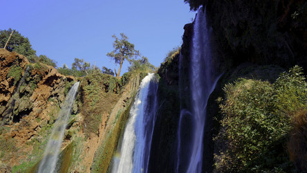 Similar image 22407696