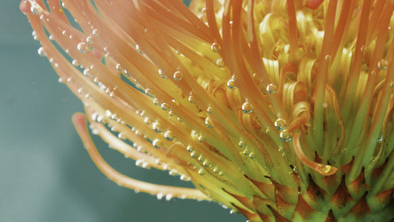 Similar image 22407725