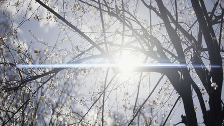 Similar image 22407875