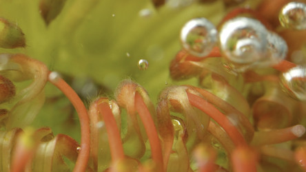 Similar image 22407920