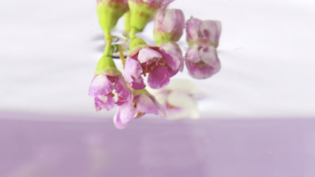 Similar image 22408055