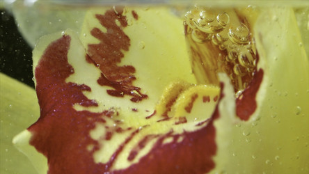 Similar image 22408071