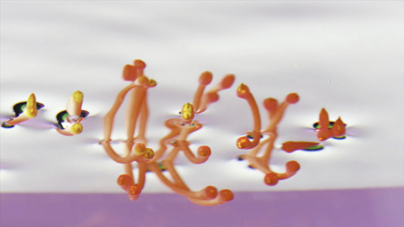 Similar image 22408099