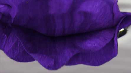 Similar image 22408146