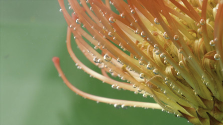 Similar image 22408160