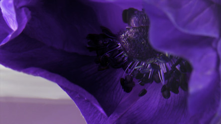 Similar image 22400977