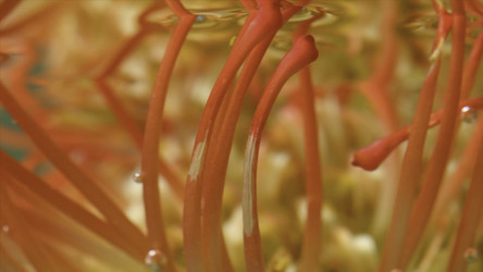 Similar image 22401005