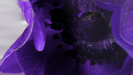 Similar image 22401050