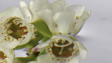 Similar image 22402062