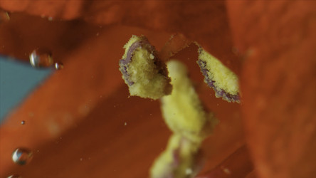 Similar image 22402093