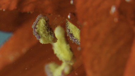 Similar image 22402543