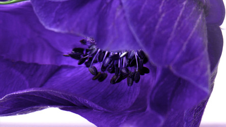 Similar image 22405510