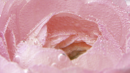 Similar image 22405602