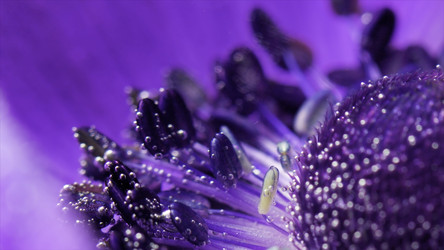 Similar image 22405647