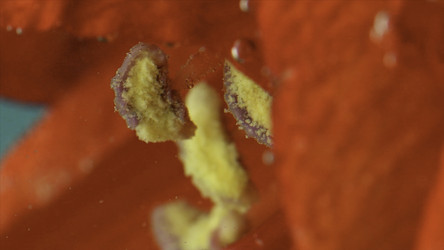 Similar image 22405662