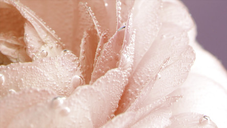 Similar image 22405691