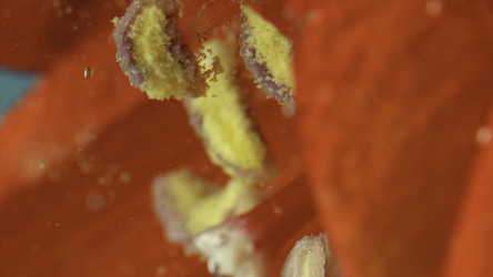 Similar image 22405767