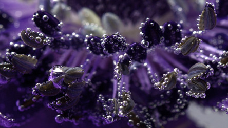 Similar image 22405781