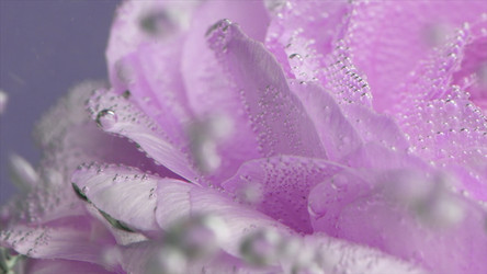 Similar image 22405796