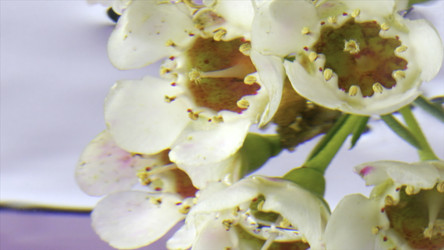 Similar image 22405974