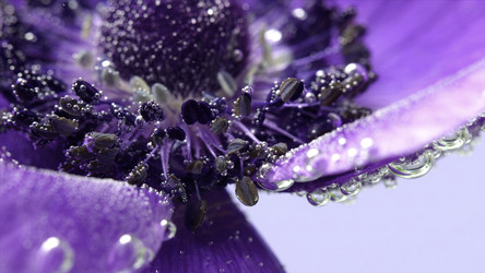 Similar image 22405991