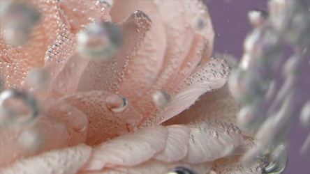 Similar image 22406018