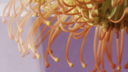 Similar image 22406034