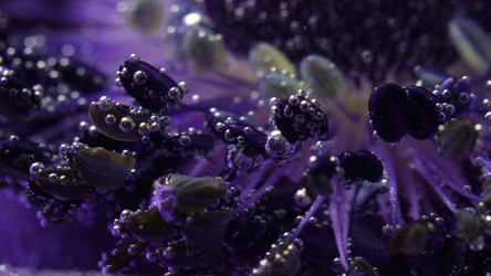 Similar image 22406050