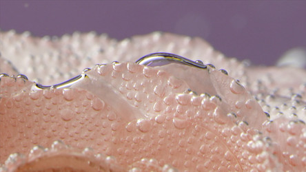 Similar image 22406080